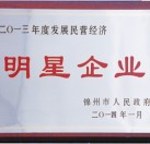 2013年度發(fā)展民營經(jīng)濟明星企業(yè)